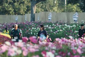 BIB: 
                            <button type="button" onclick="openModal(27344103)" class="btn btn-primary btn-sm float-right btn-popup" data-toggle="modal" data-target=".modal-high-quality">
                        <i class="fas fa-shopping-cart"></i> Add to Cart
                    </button>
                                            <button type="button" onclick="isThisMe(27344103, true)" class="btn btn-success btn-sm float-right btn-popup btn-isme hidden" data-toggle="tooltip" data-placement="bottom" title="นี่คือรูปของคุณใช่ไหม คลิกที่นี่เพื่อเอาเข้าอัลบั้ม">
                        <i class="fas fa-plus"></i> Add to album
                    </button>
                    <button type="button" onclick="isThisMe(27344103, false)" class="btn btn-warning btn-sm float-right btn-popup btn-isnotme hidden">
                        <i class="fas fa-ban"></i> Remove from album
                    </button>